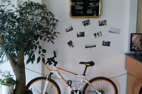 Una habitación con una bicicleta, una planta en maceta y una pared decorada con fotografías.