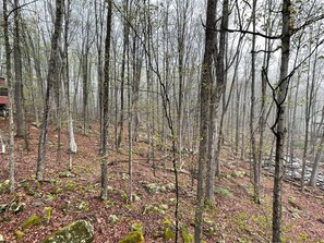 A forested area with trees and a rocky ground. - Lakes and Beaches with Resort Amenities at The Hideout (Hamlin)
