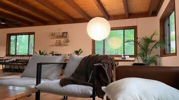 TV connectée, cheminée