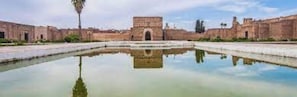 Un cortile con un edificio centrale, una piscina specchiante e una palma.