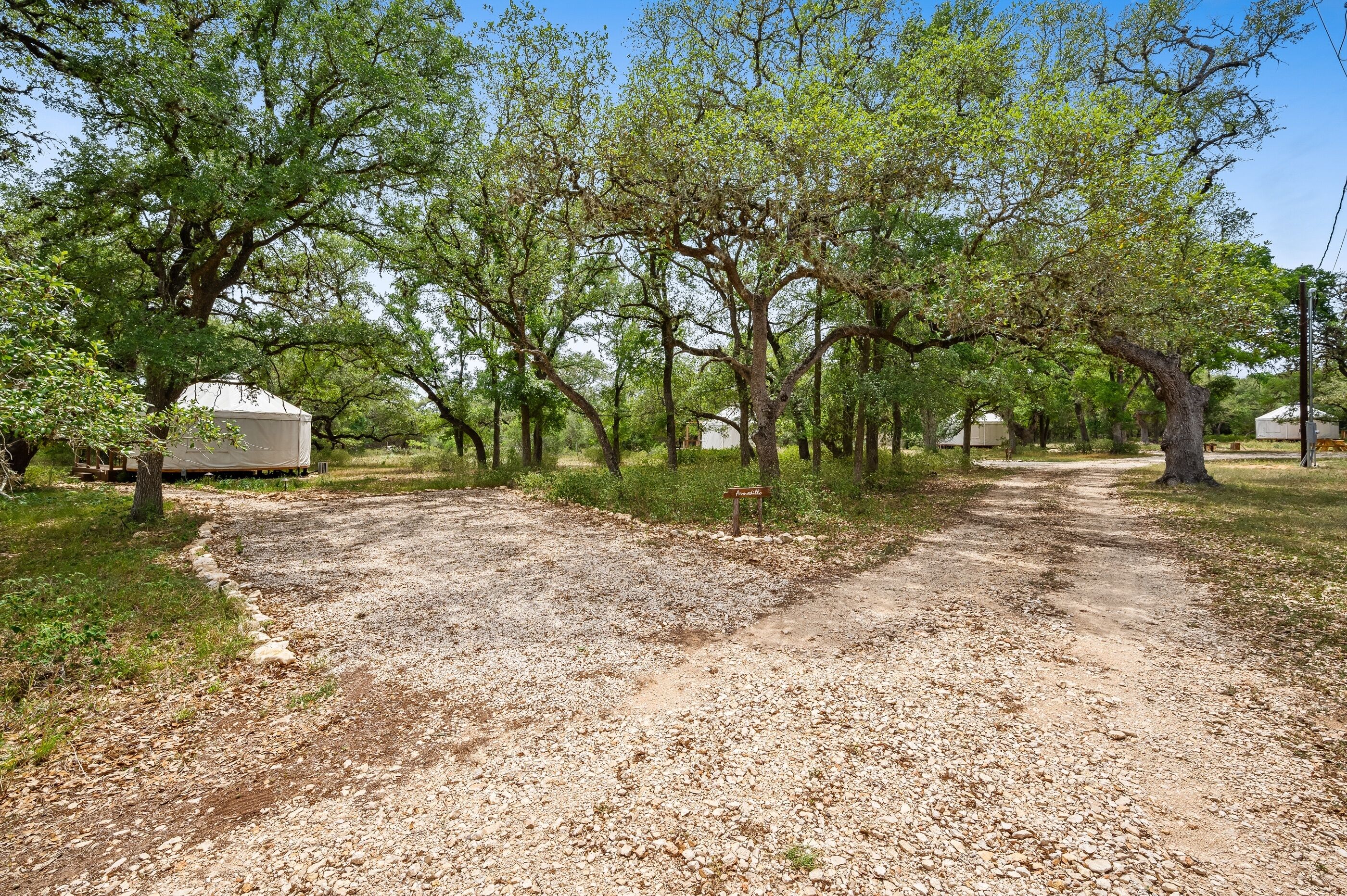 A gravel path leading through a wooded area with yurts.