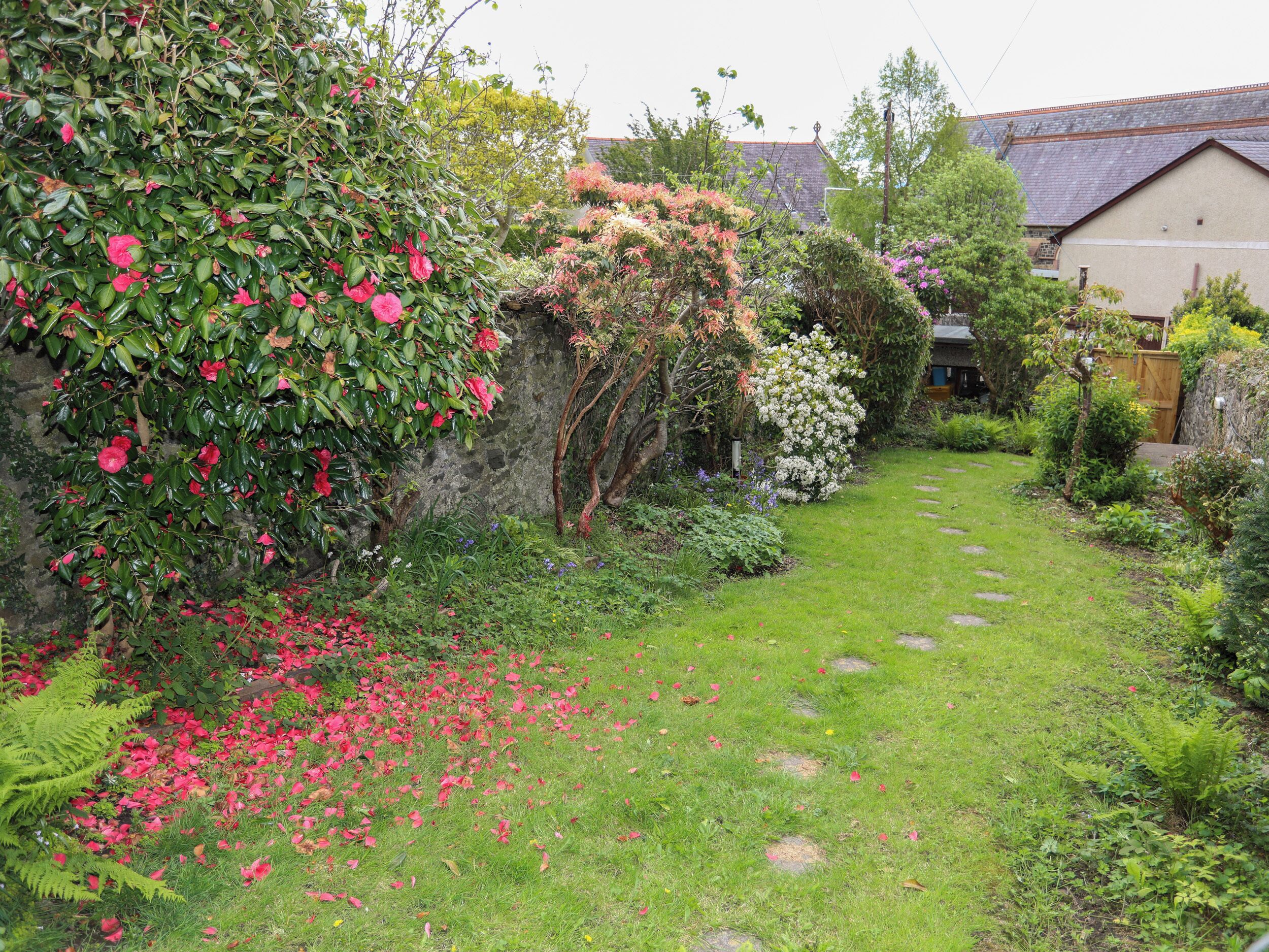 A garden with a stone wall, flowering plants, and a pathway leading to a house.