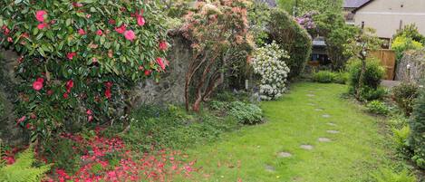 A garden with a stone wall, flowering plants, and a pathway leading to a house.