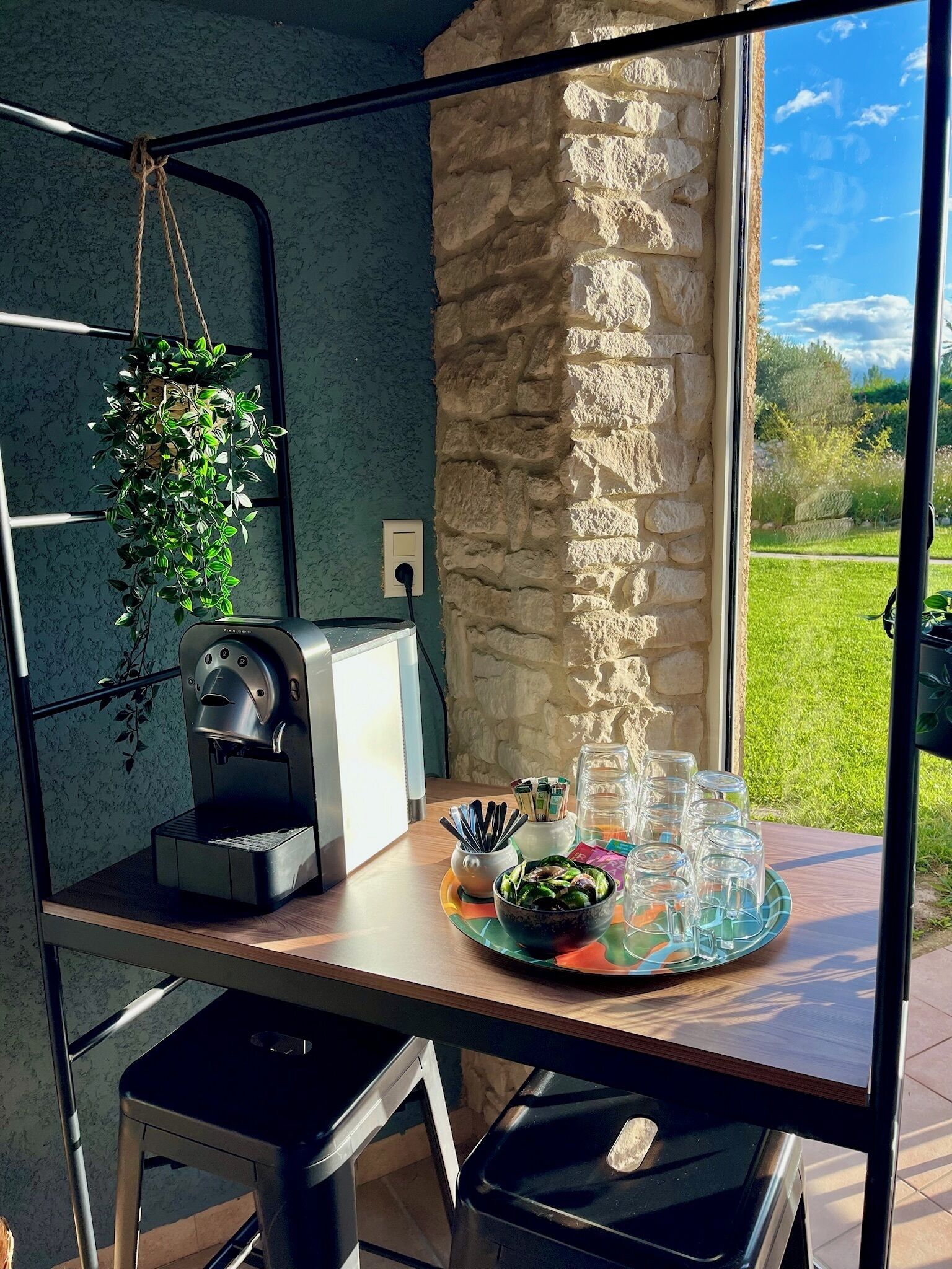 Una kitchenette con cafetera, una planta colgante y vistas a un jardín a través de una ventana.