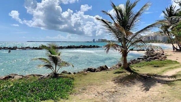 A beach with clear turquoise water, palm trees, and a rocky shoreline. - Puerto Rico 1 Bed Beach Rental Otium Rentals (San Juan)