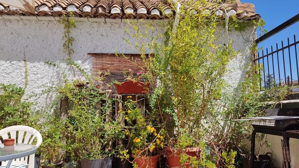 A patio with potted plants, a white chair, and a tiled floor.