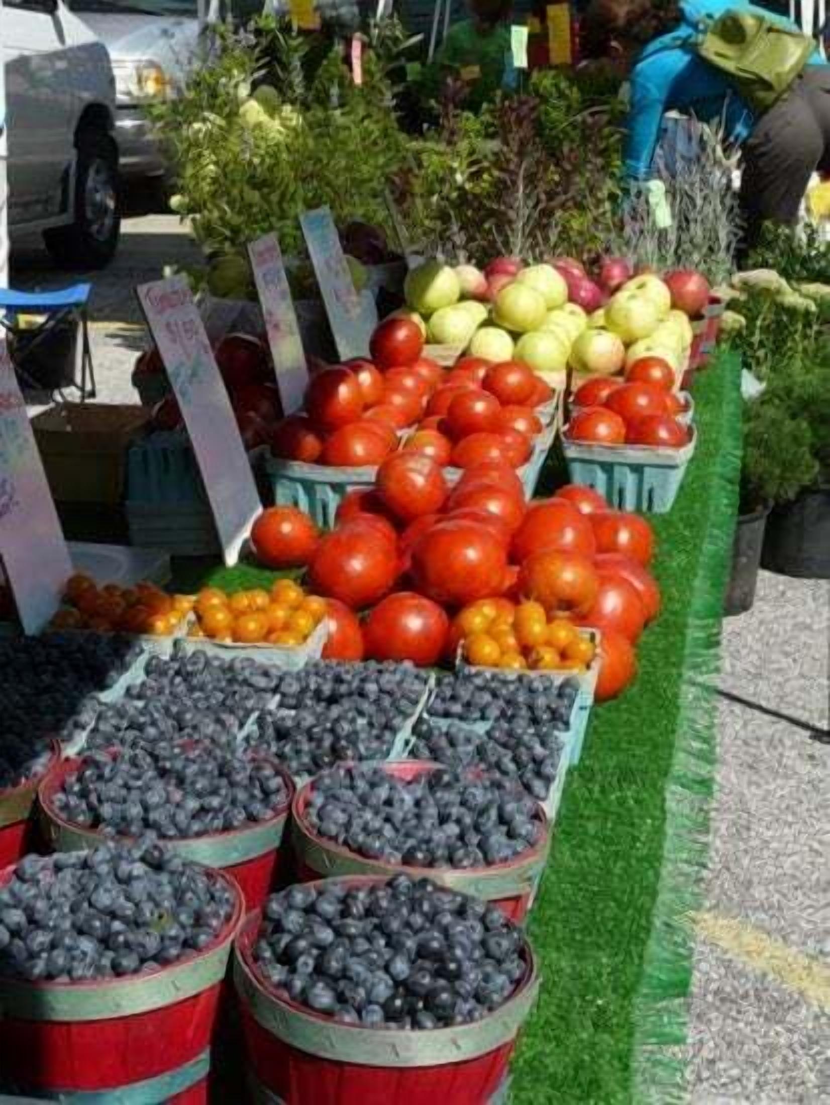 A market stall with various fruits and vegetables displayed in bins.