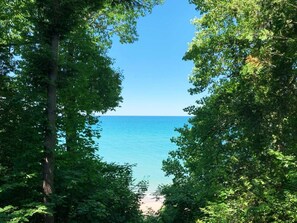 A natural landscape with a view of the sea through dense foliage. - Bluffside: Lake Michigan Beach Access, Screen Porches, Fire Pit, Sunset Views (Glenn)