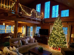 Flat-screen TV, fireplace, DVD player