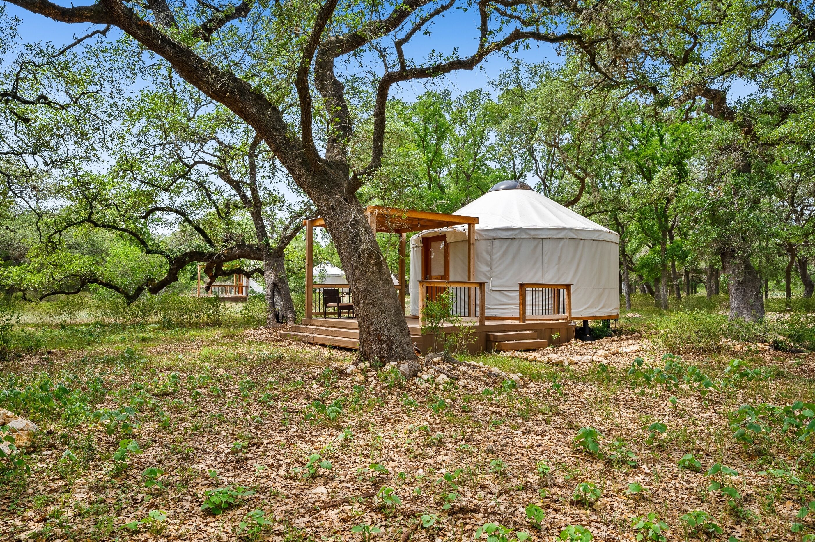 A yurt with a wooden deck and a covered entrance, surrounded by trees in a natural setting.