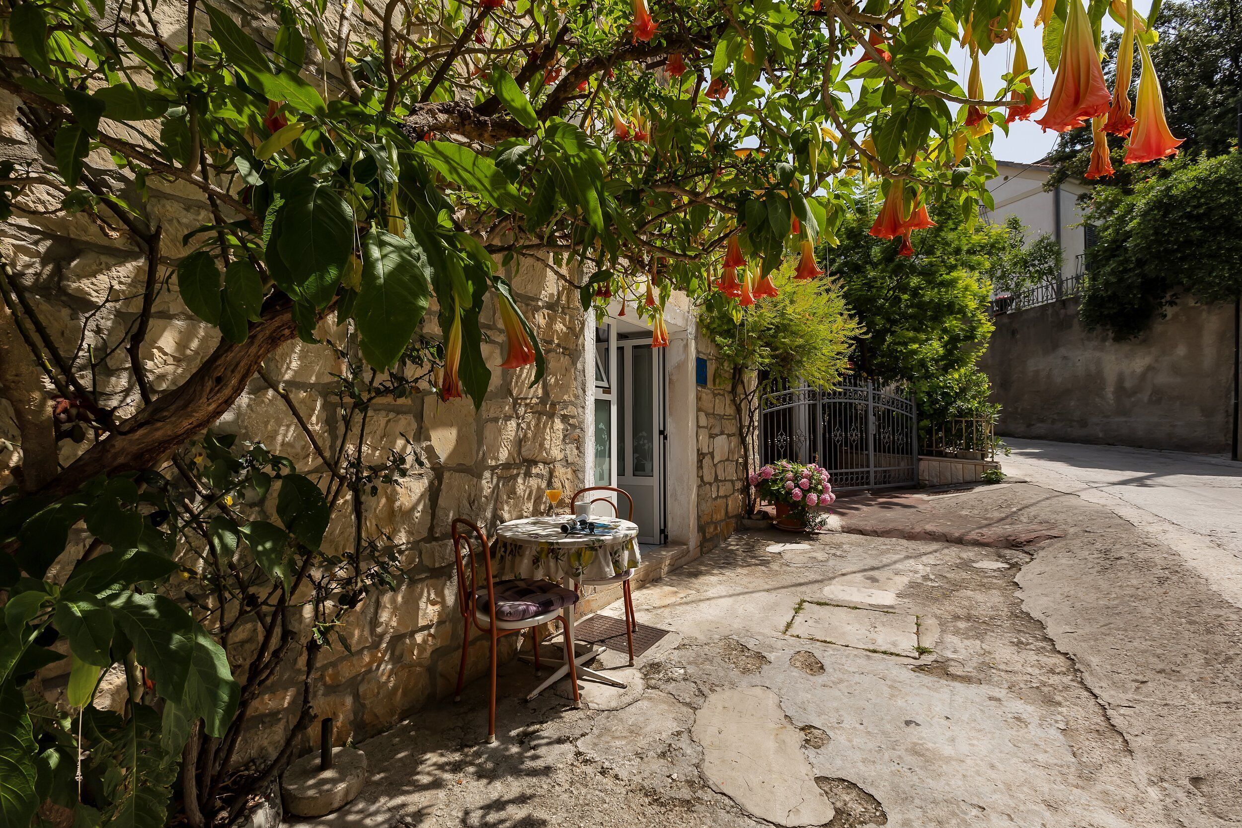 Studio (Studio Apartment) | Ngoại thất