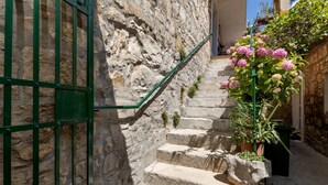 A stone staircase with a green metal railing, leading to a door with a metal grid. There are potted plants with pink flowers at the bottom of the stairs. - Apartments Kata (Makarska)