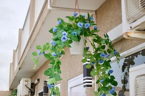 A balcony with a climbing plant of blue flowers.