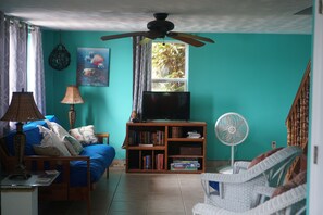 Smart TV, books