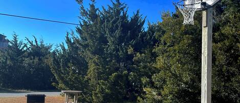 A basketball hoop with a wooden post and a metal backboard, set against a backdrop of trees and a clear blue sky.