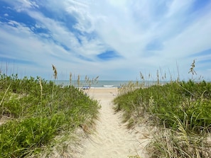 A sandy beach path flanked by green vegetation leading to the ocean. - OBX beach steps away, ocean views, prvt pool, hot tub, game room & dog friendly! (Salvo)