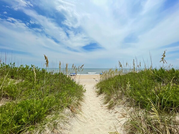 Plage, chaises longues