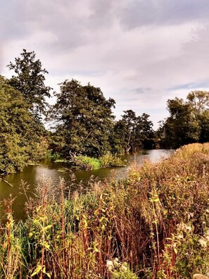 Estudi | Àrea exterior de l'allotjament