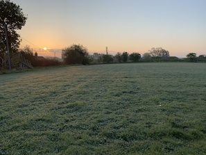 Estudi | Àrea exterior de l'allotjament