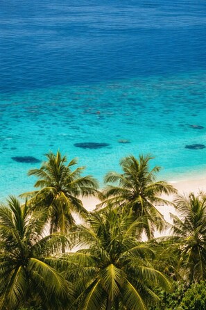 A beach with clear turquoise water and palm trees. - Suncoral Maldives (Kondey)