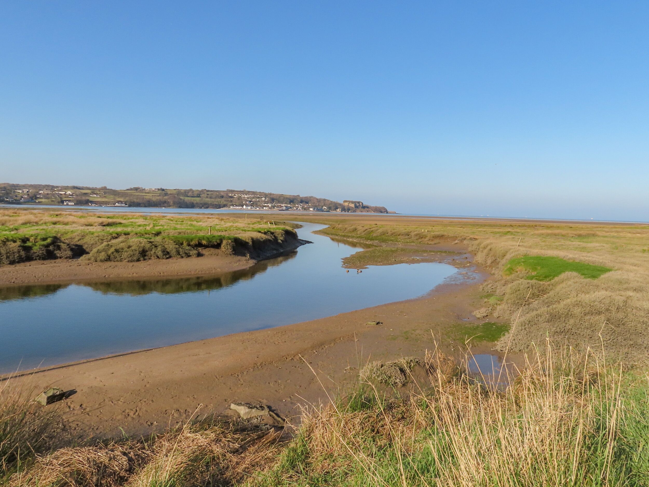 A river meandering through a flat landscape with sparse vegetation and a distant view of a town.