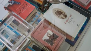 Una selezione di libri con titoli e autori ben visibili, disposti su uno scaffale.