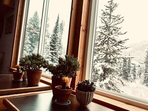 Une fenêtre ornée de quatre plantes en pot, posées sur un rebord en bois, donnant sur un paysage enneigé parsemé d’arbres.