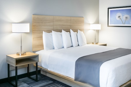 King Room - Disability Access | Desk, blackout drapes, iron/ironing board, free WiFi