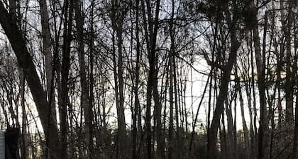 Beautiful Large Home Minutes from Lake Anna with Games & Hot Tub!!