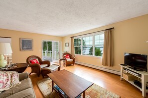 Fernseher, Kamin, DVD-Player