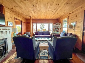 TV connectée, cheminée, lecteur de DVD, livres