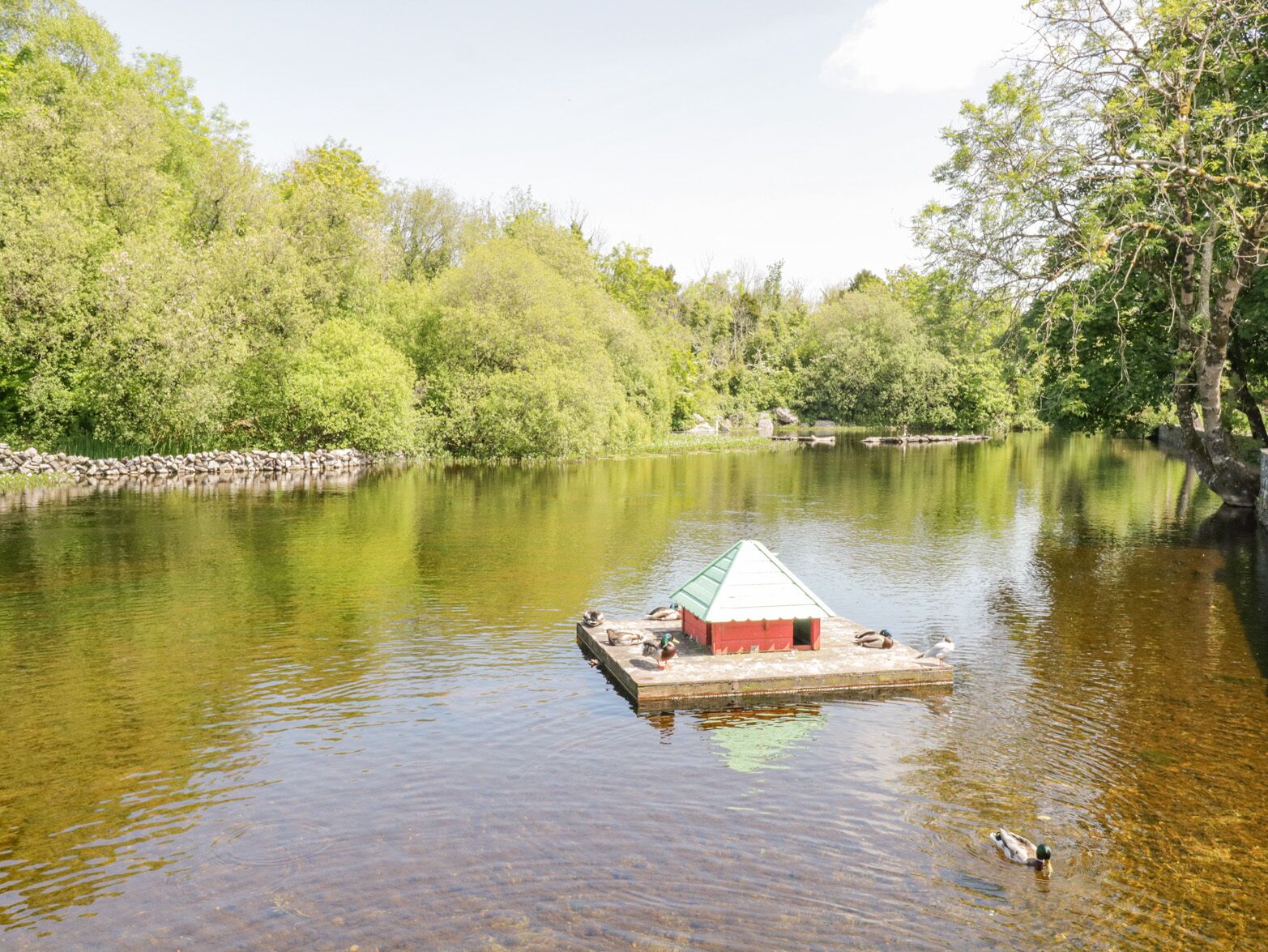 A small floating house with a green roof on a calm river surrounded by lush greenery.