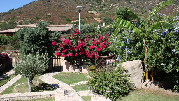 A garden with a stone pathway, a small tree, and a large rock. - PEPE house, cottage with garden 5 min from Campus beach, Villasimius  (Sardegna)