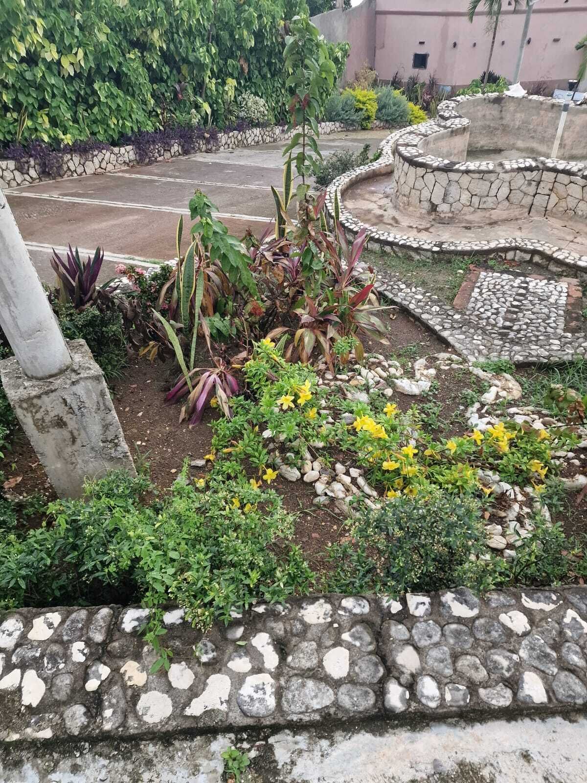 A garden with various plants and a stone pathway.
