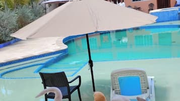 Piscine extérieure, chaises longues