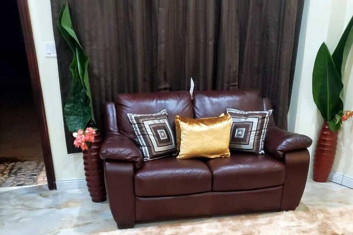 A brown leather sofa with patterned cushions, a shaggy beige rug, and potted plants.