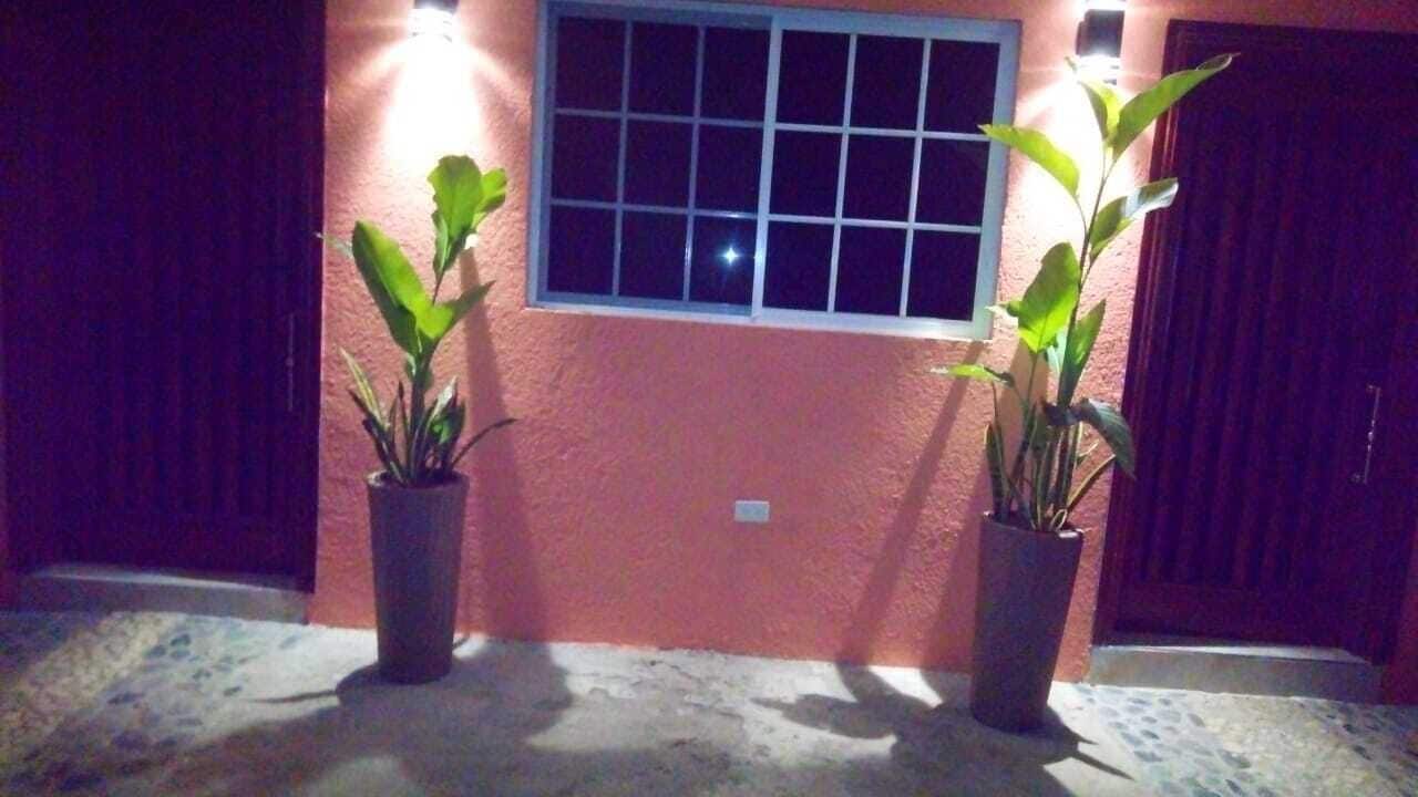 Fachada de edificio con una ventana y dos macetas.