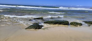 Surf o bodyboard