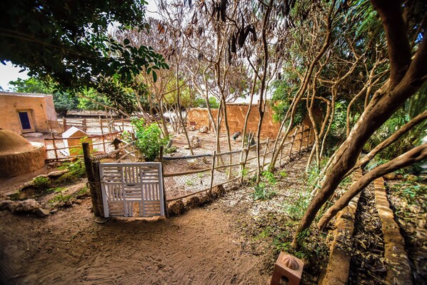 A rustic outdoor area with a dirt ground, a wooden fence, and a metal gate.