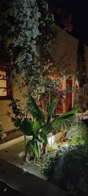 Comfort Double or Twin Room | Terrace/patio