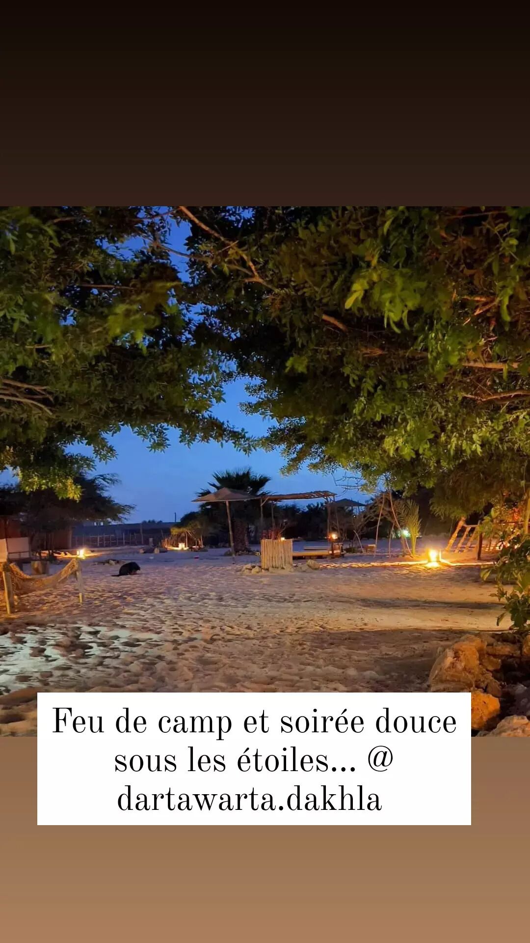 Escena de playa con fogata y un área de estar cubierta bajo los árboles.