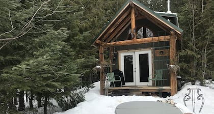 Cozy Mountain Cabin /hot tub