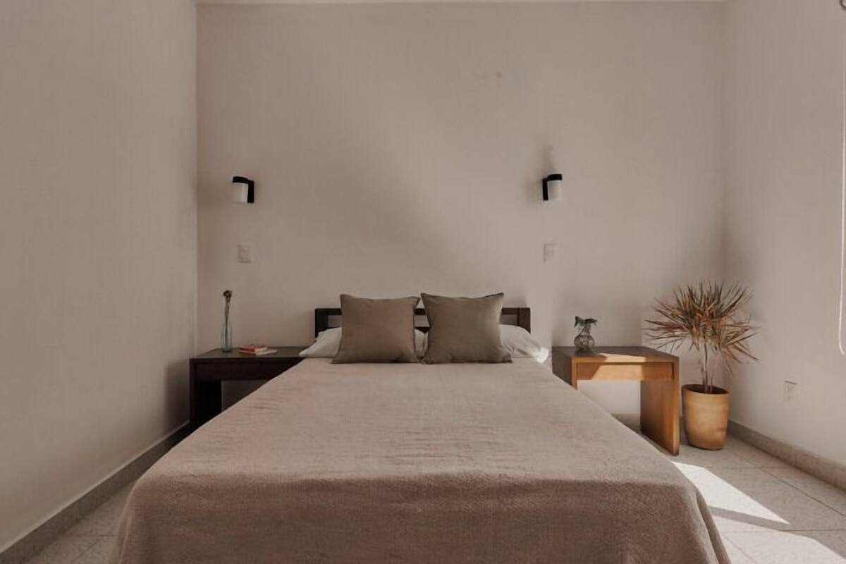 A minimalist bedroom with a large bed, two bedside tables, a nightstand, and a potted plant.