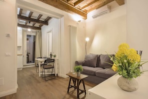 基础开间, 1 张双人床和 1 张沙发床 | 起居区 | 电视