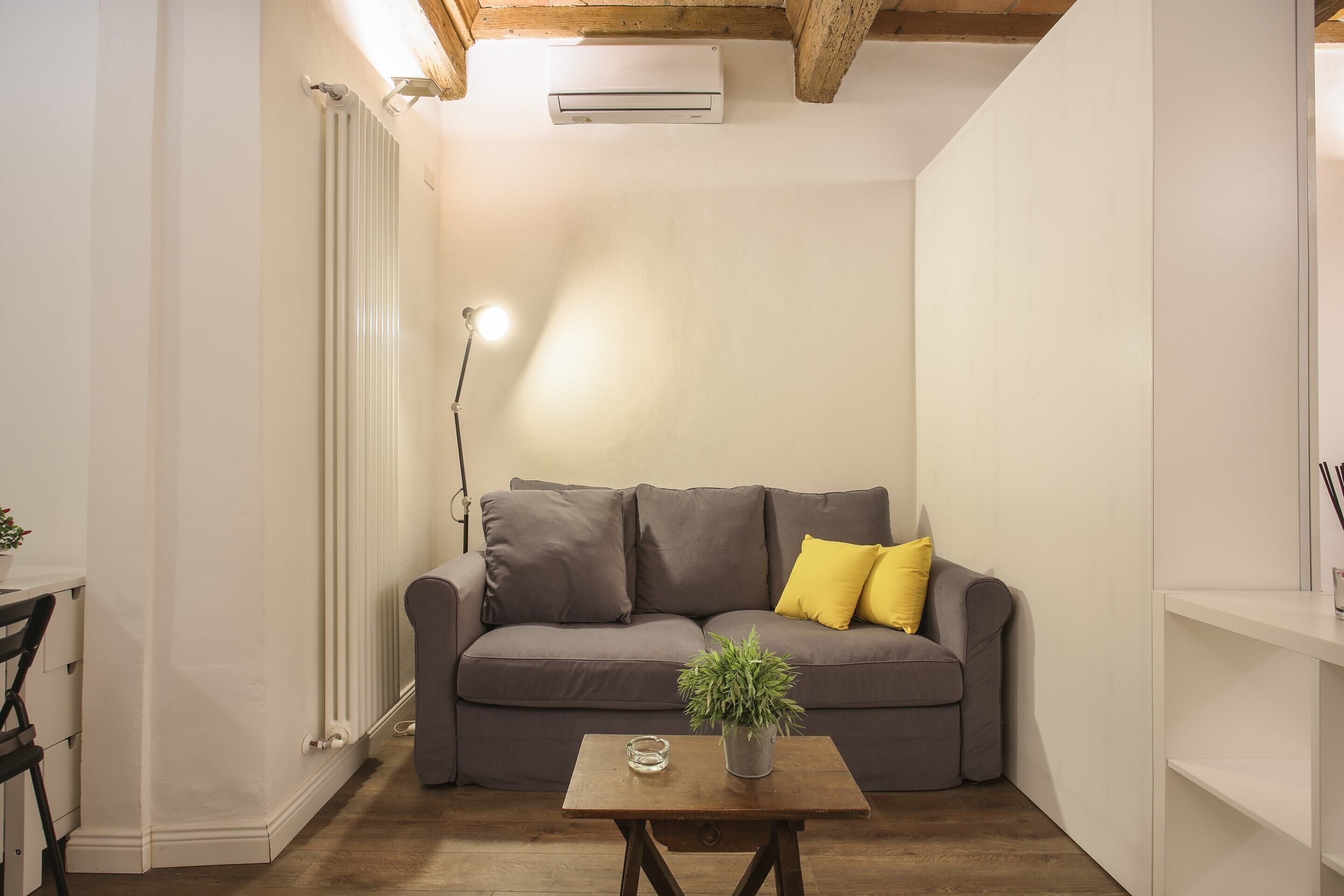 Un espacio habitable compacto con un sofá gris, una pequeña mesa con una planta y un radiador.