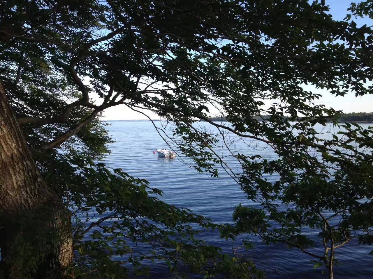A view of a calm lake with a boat in the distance, surrounded by trees.
