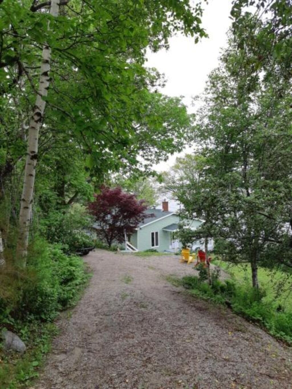 A gravel path leading to a house surrounded by dense green foliage.