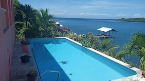 A rectangular swimming pool with a clear blue water surface, surrounded by potted plants and a stone deck.