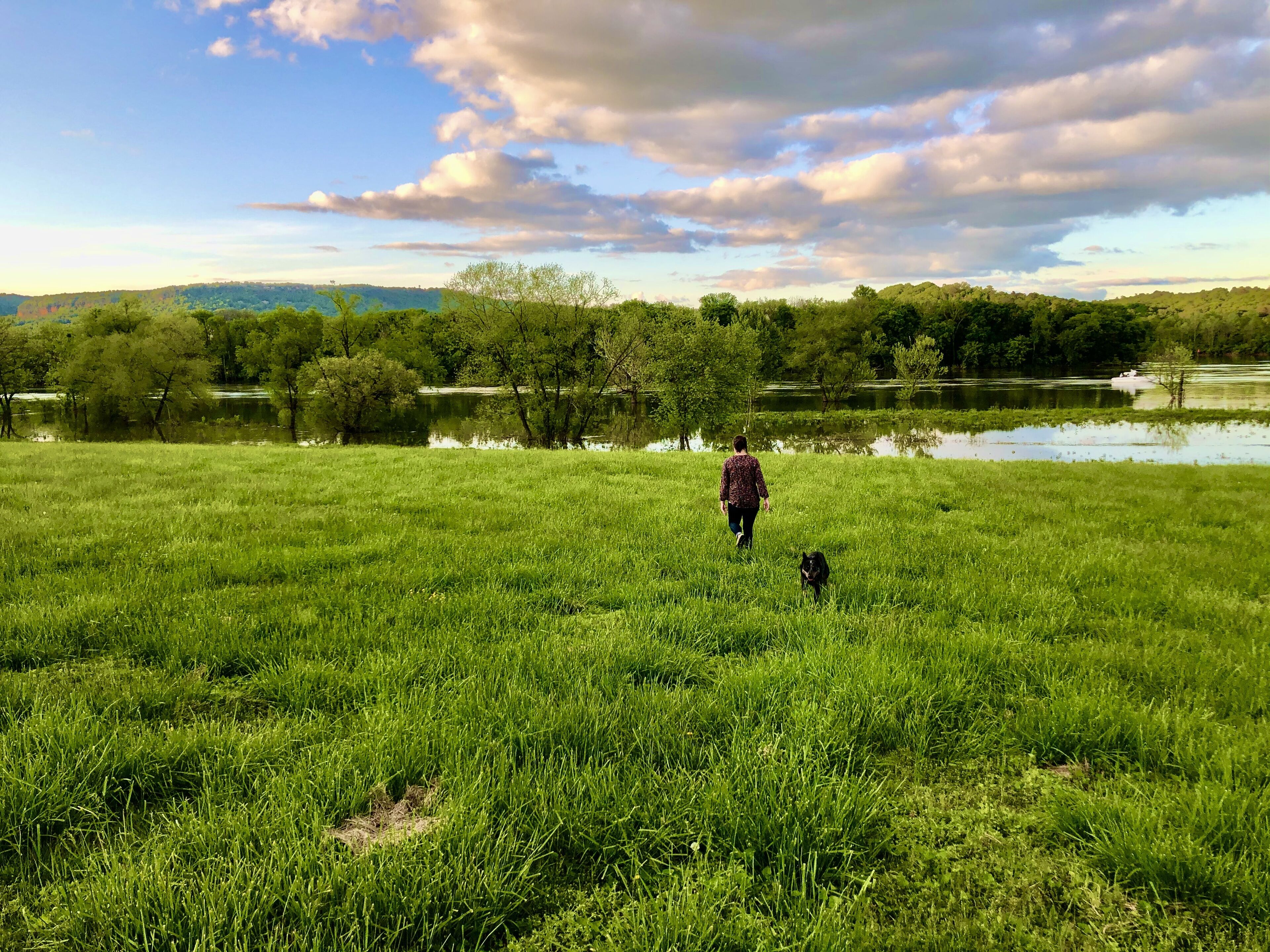 A grassy field with a person and a dog walking towards a body of water, surrounded by trees and hills.