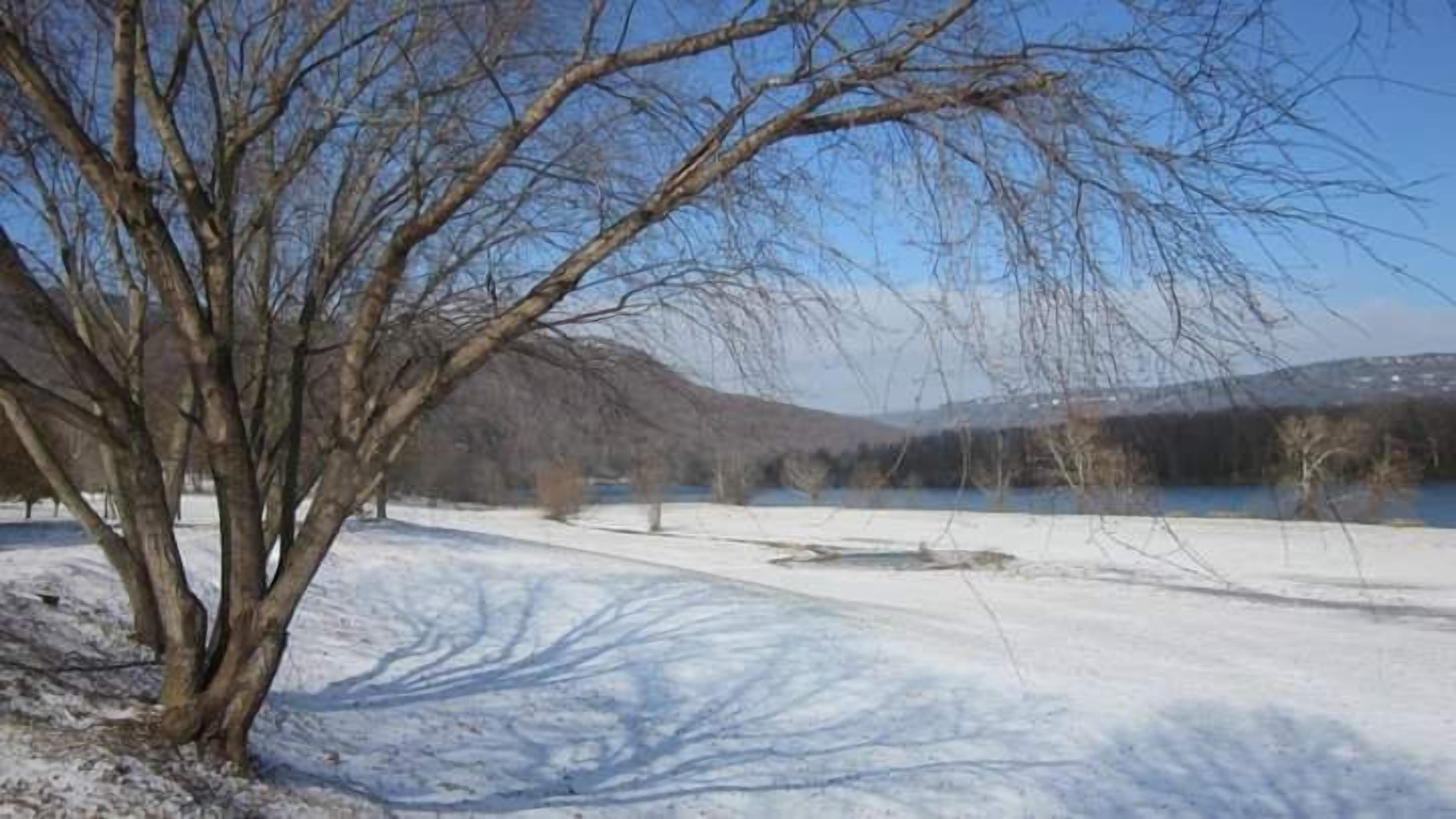 A snow-covered landscape with a leafless tree and a body of water in the background.